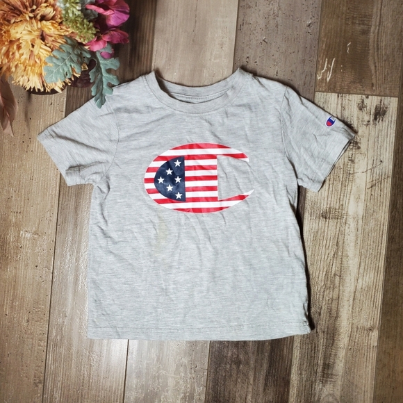 Champion Gray Short Sleeve Crewneck Athletic Logo T-Shirt Boys Size 5 EUC - Picture 4 of 8